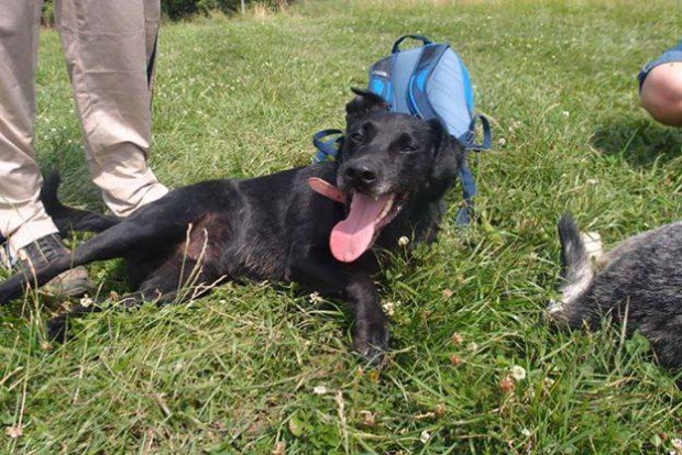 Největší problémy