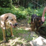 11412298_10152998427982607_2903331926574619648_n