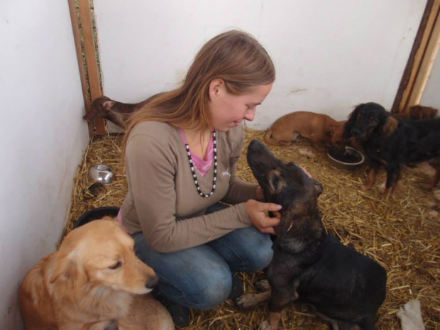 Kauza týrání 17 psů v bydlišti Romů