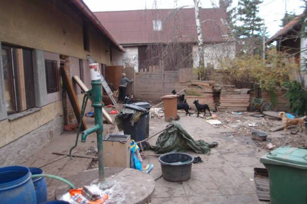 Kauza Bojmany 60 psů