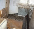 Kauza 17 týraných koček – prosinec 2009