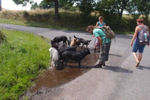 Děčínsko3