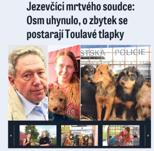 Bez názvu