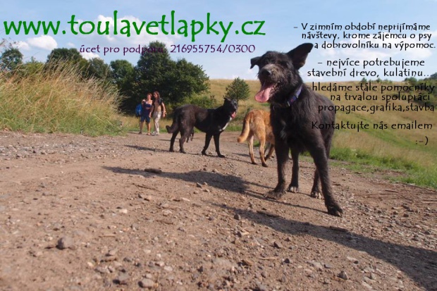 V zimním období nepřijímáme návštěvy!