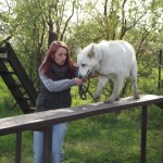 11430172_10152945754052607_6192394812965256098_n