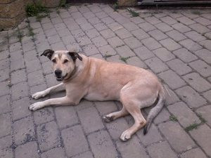 image001
