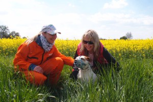 11188448_10152866538412607_1999474309836870182_n