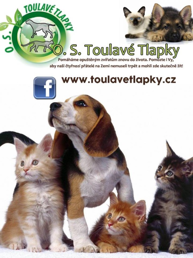 Brigáda v azylu tento víkend!