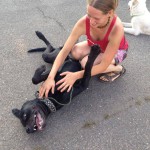 11855876_10153093862062607_2966197151418960667_n