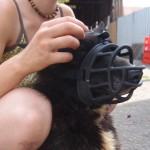 11863480_10153093846852607_9172295939979689221_n