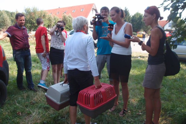 kauza Žďár – útulek hrůzy!