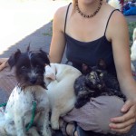 11902455_10204759191006613_8619353501666309379_n