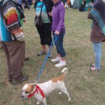 11220838_10153139731562607_8382074408076152949_n