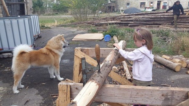 Co je u nás nového