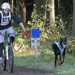 12178259_799365653505468_652742778_n