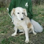 12212266_10203655392023998_295146090_n