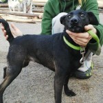 12226615_10203655399344181_1588453234_n