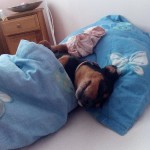 ffrgGdgh5DaLPUrpLA2OvcK0-lsIFTtbDRiu5x4PfNQquUDl2Lf55JqJ3JOmFegfg6H0q40