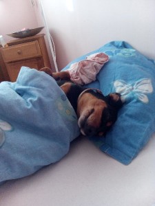 ffrgGdgh5DaLPUrpLA2OvcK0-lsIFTtbDRiu5x4PfNQquUDl2Lf55JqJ3JOmFegfg6H0q40
