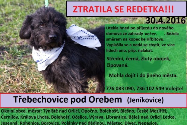 Redetka se již našla a má nový domov!