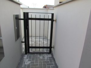 show_image