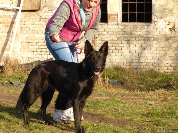 Arveta se již našla. Přečtěte si neuvěřitelný příběh!