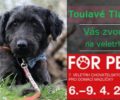 For pets 2017, od 6.4.! PŘIJĎTE ZA NÁMI :)